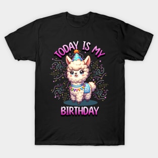 Today Is My Birthday Party Llama Confetti for Girls Kids Fun T-Shirt